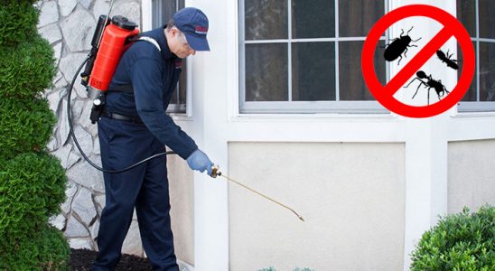 Akkışla Haşere İlaçlama böcek ilaçlama ve haşere kontrolü — ilaclama-tr.com